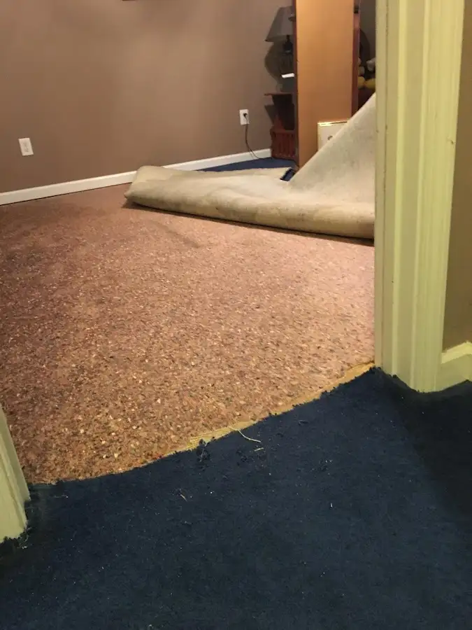 Carpet pad removal revealing water damage during Water Mitigation Services in Watertown