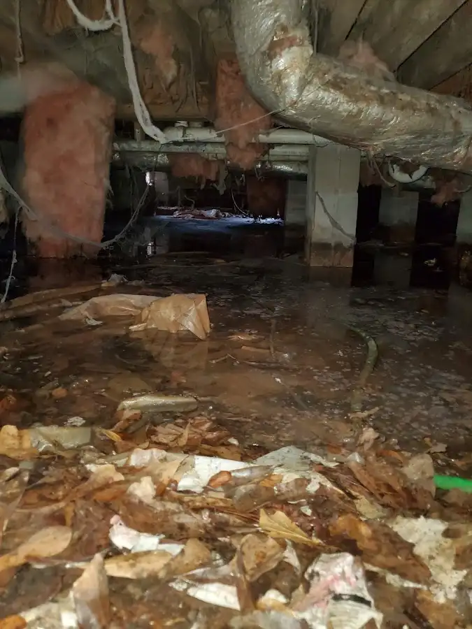 Crawl space flood assessment for Leak Detection & Repair in Watertown